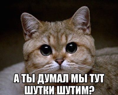 Туркоманам пришла ответка!