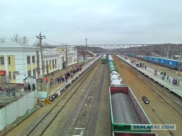 Прогулка с волками