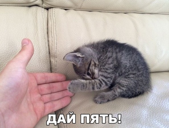 Подборка картинок