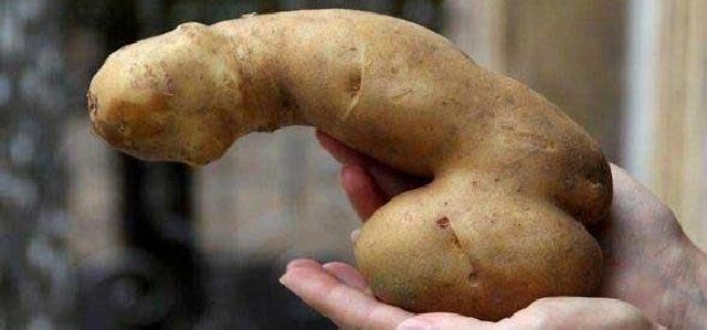 Белорус во время ссоры раздавил о лицо супруги горячую картошку