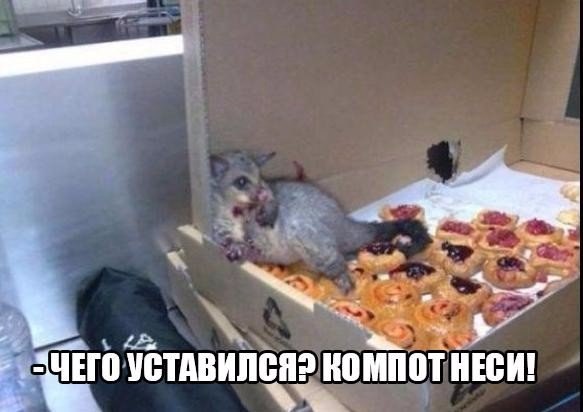 Мохнатые беспредельщики