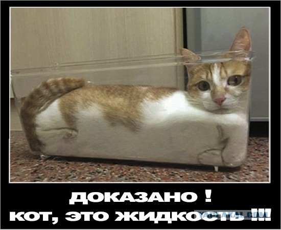 Подборка картинок