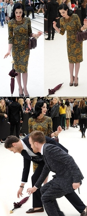 От продавщицы нижнего белья до королевы бурлеска: история Диты фон Тиз