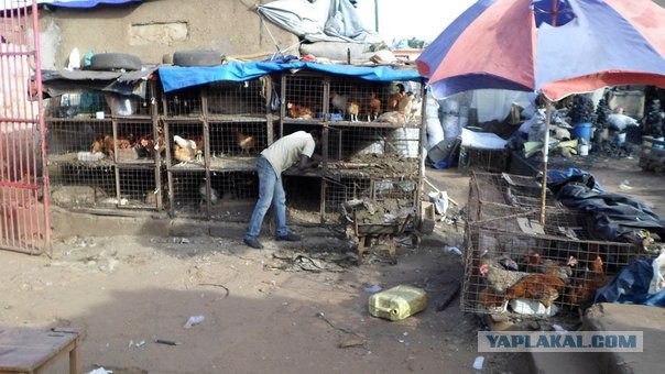 Отпуск в Африке, часть 2