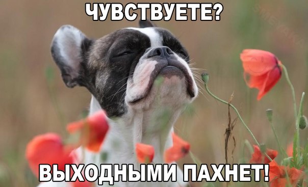 Картинки на пятницу