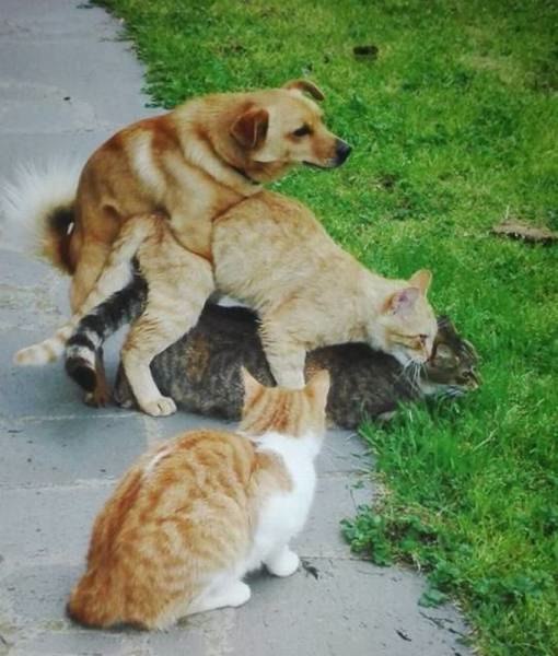 Ужасы и приколы из соцсетей 18+