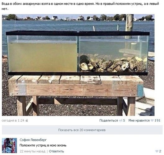 Ужасы и приколы из соцсетей 18+