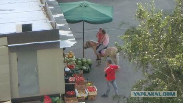 Кто завел ПЕТУХА! )))