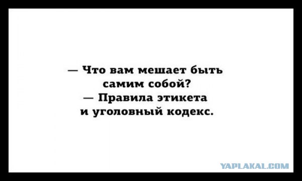 Интересные и веселые картинки