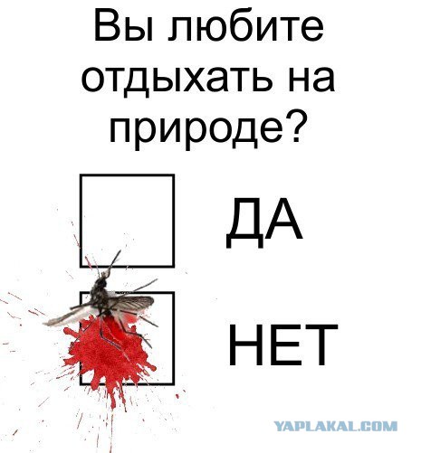 Самые ненавистные насекомые, известные человеку
