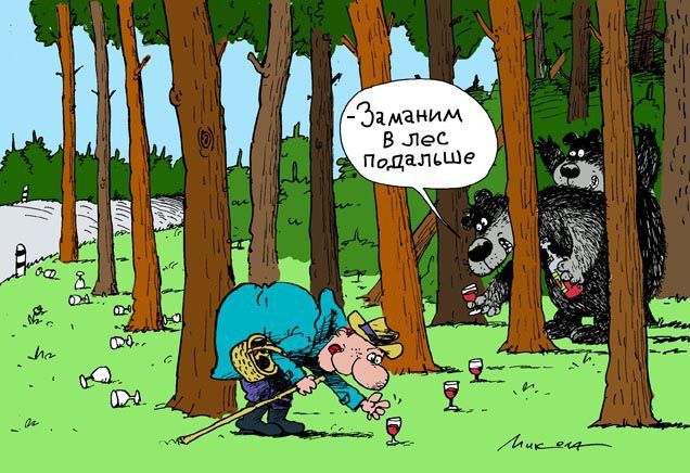 Заблудились в лесу? Главное не паникуйте