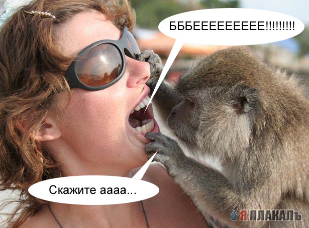 Отдай чипсину,каза