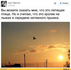 Смешные комментарии из социальных сетей 14.10.2016