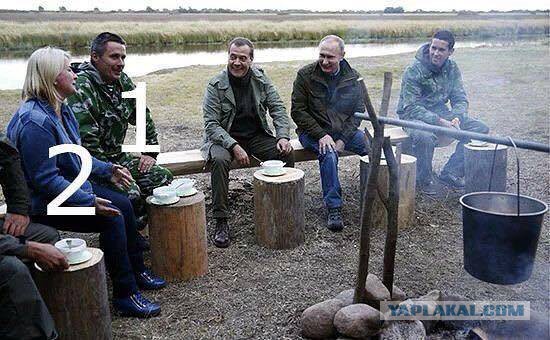Прикольные картинки
