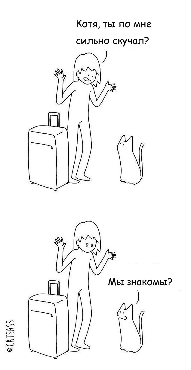 Комиксы, показывающие, что значит жизнь с котом