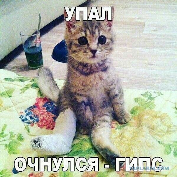 Деградировать подано