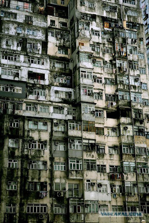 Какими будут "собянинки"