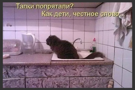 Картинки для поднятия настроения