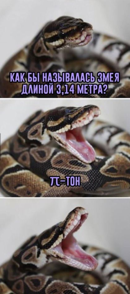 Забавных картинок не хотите ли?