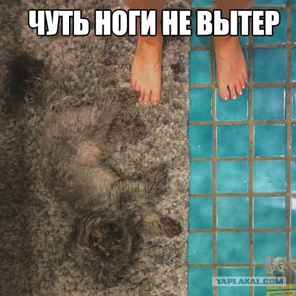 Подборка интересных и веселых картинок
