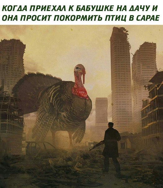 Нестандартный юмор