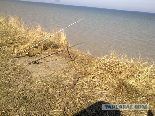 Осенний карась