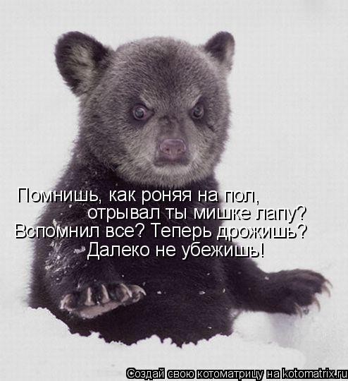 Если на вас напал медведь