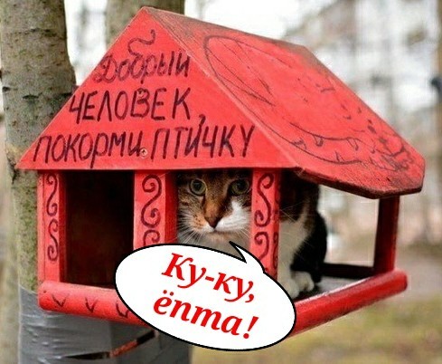 Чуток картинок 15.02.20
