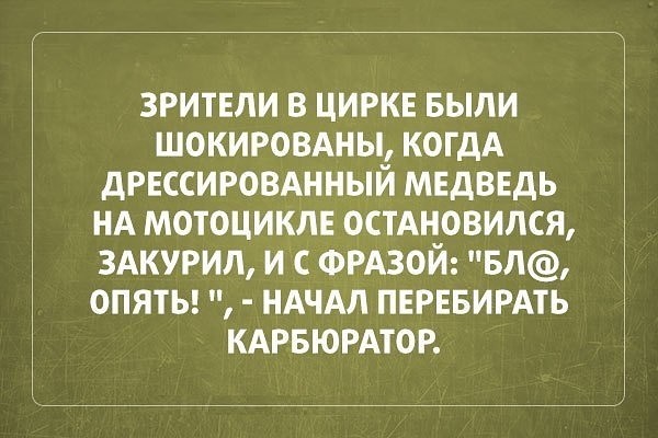 Фотки и картинки: юморные и красивые, забавные и милые