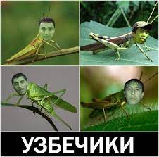 История России в фотографиях. Малороссы. Типы и характер