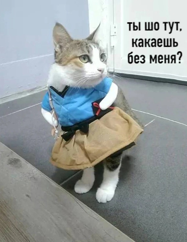 Картинки о животных, прямо и косвенно