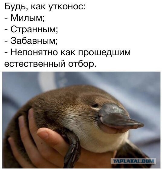 Так себе картинки 10.10.21
