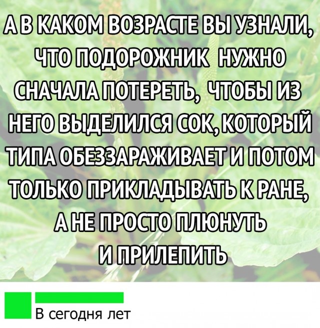 Картинки и мемы для настроения 21.10.21