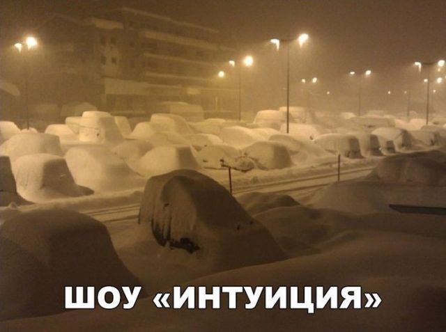 Забавные комментарии из социальных сетей (13.12.21)