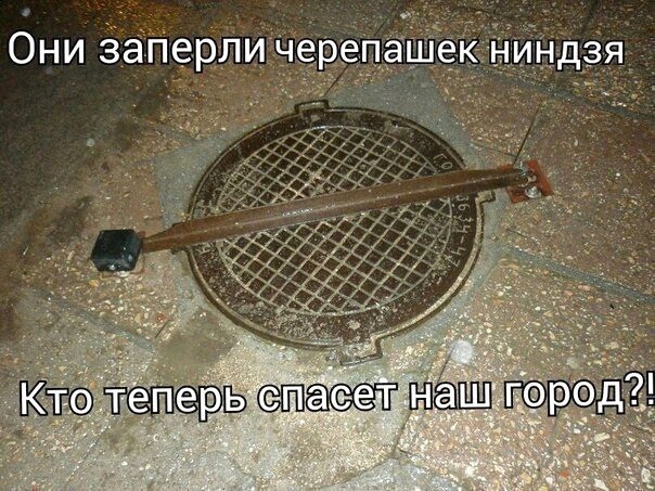 Так себе картинки 16.02.22