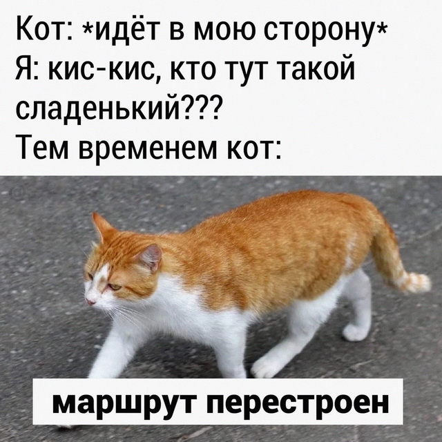 Просто картинки 17.03.2022