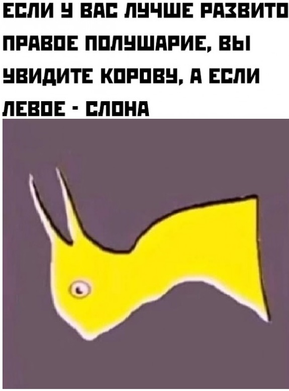Картинки и мемы, всем хороших выходных