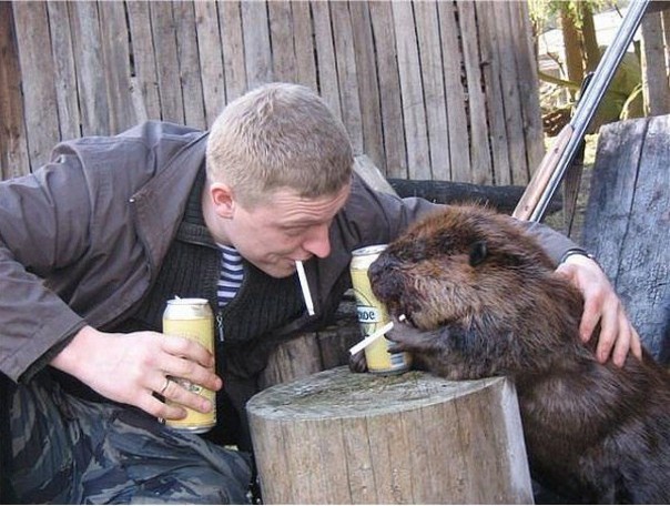 Всё правильно сделал