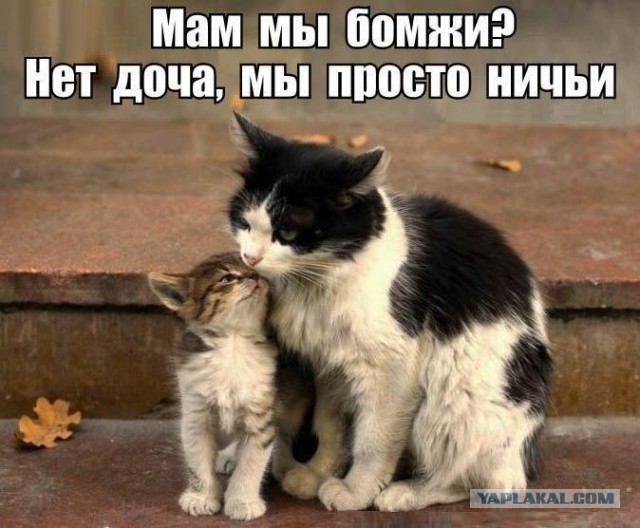"Давай, показывай квартиренцию!"