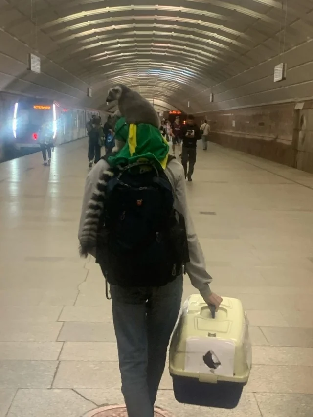 Новая подборка модников из метро