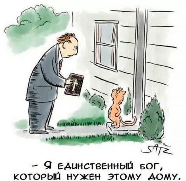 Так себе картинки 26.06.25