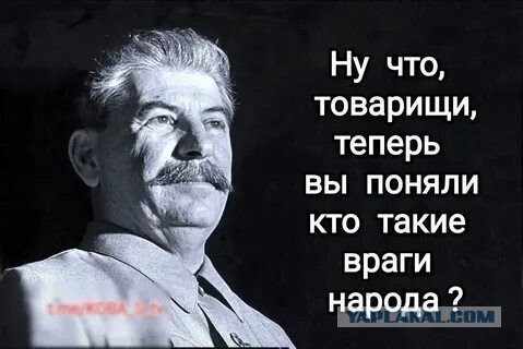 Вместо пенсий — «налог поколений»?
