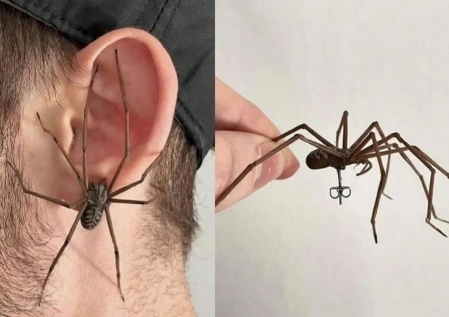 Юмор для тех, кто уже повзрослел и понял, что «любимый сериал» — это тот, под который хорошо засыпается