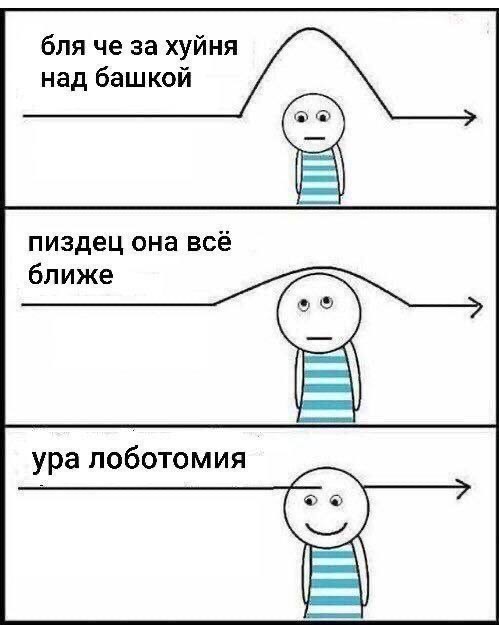 Хозяин, там твой друг пришёл!
