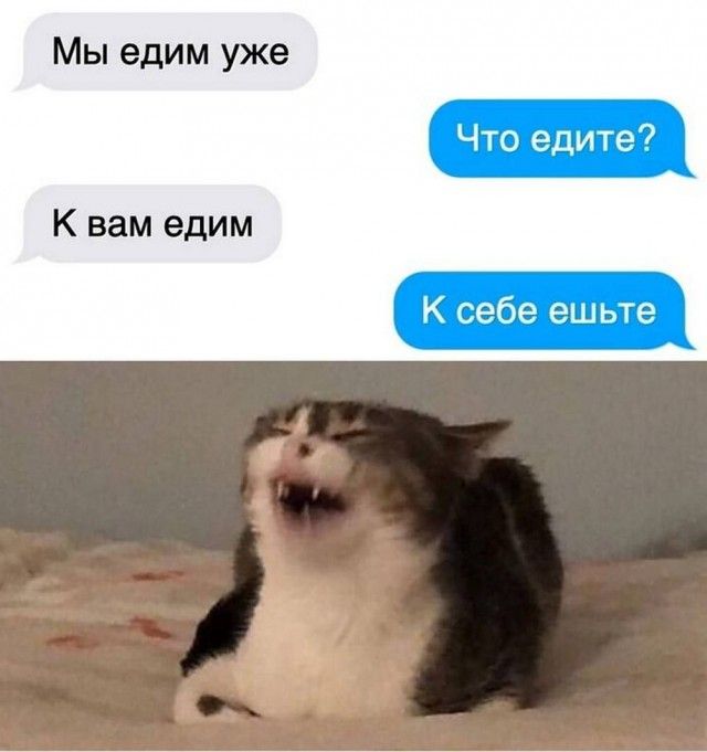 Картиночки, баянчики 24 января
