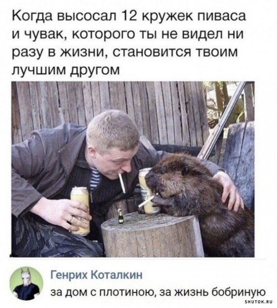 Картинки без критики