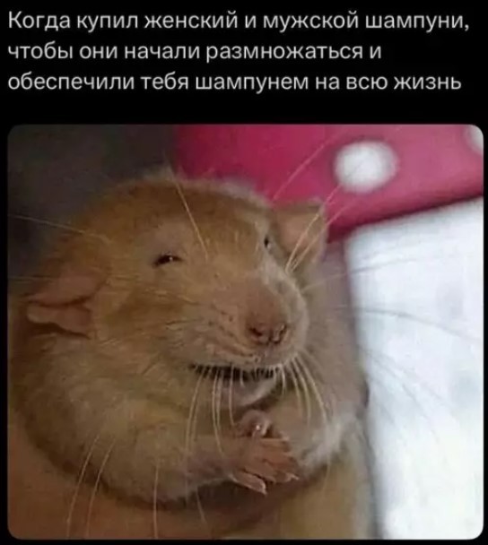 Первая суббота лета