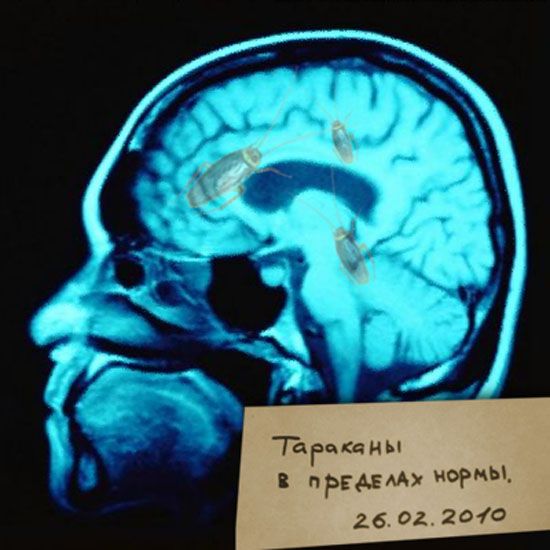 У каждого свои тараканы