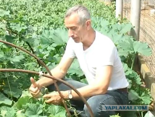 Кому юки отсыпать?