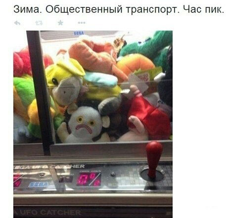 Комментарии из соцсетей на воскресенье